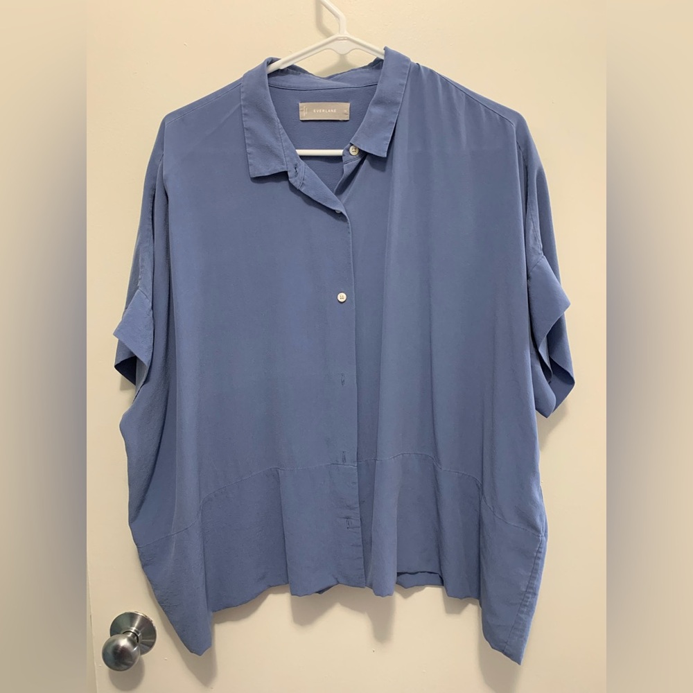 Blue silk Everlane blouse